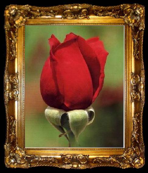 framed  unknow artist Still life floral, all kinds of reality flowers oil painting  125, ta009-2